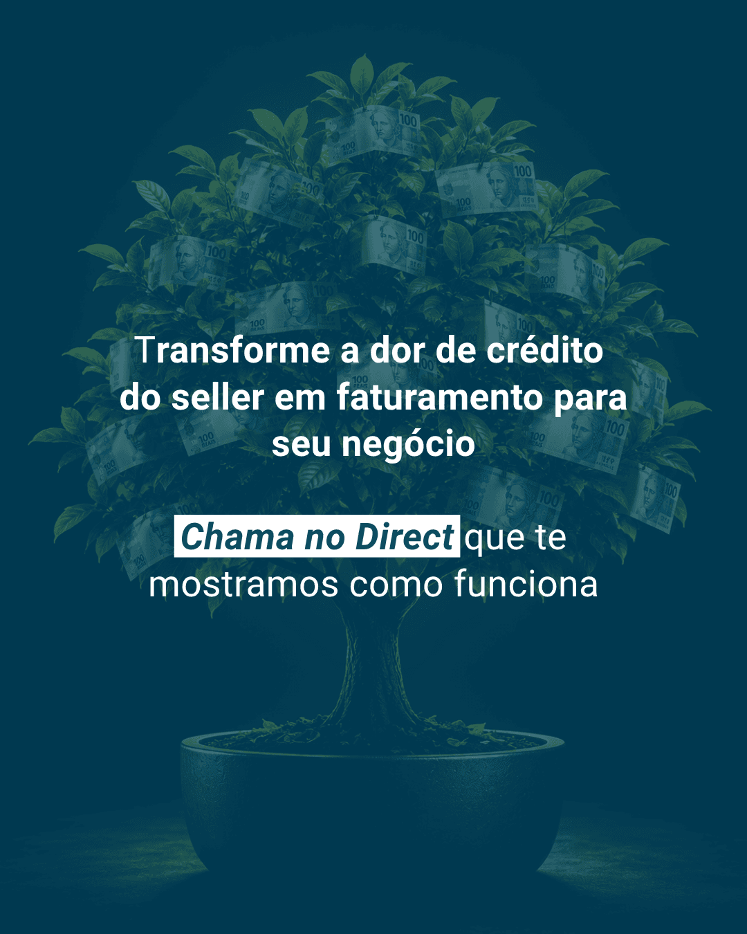 Imagem 5